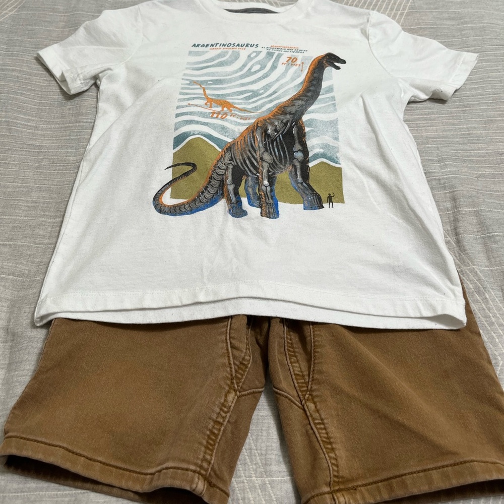 Cute dinosaur shirt from old navy and tan/khaki shorts from art class (target)